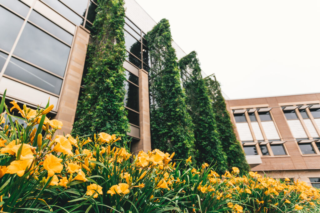 Exterior of building with yellow flowers