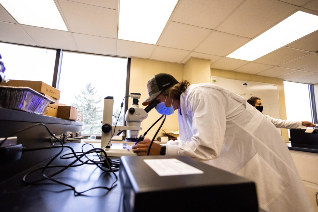 Student looking into microscope