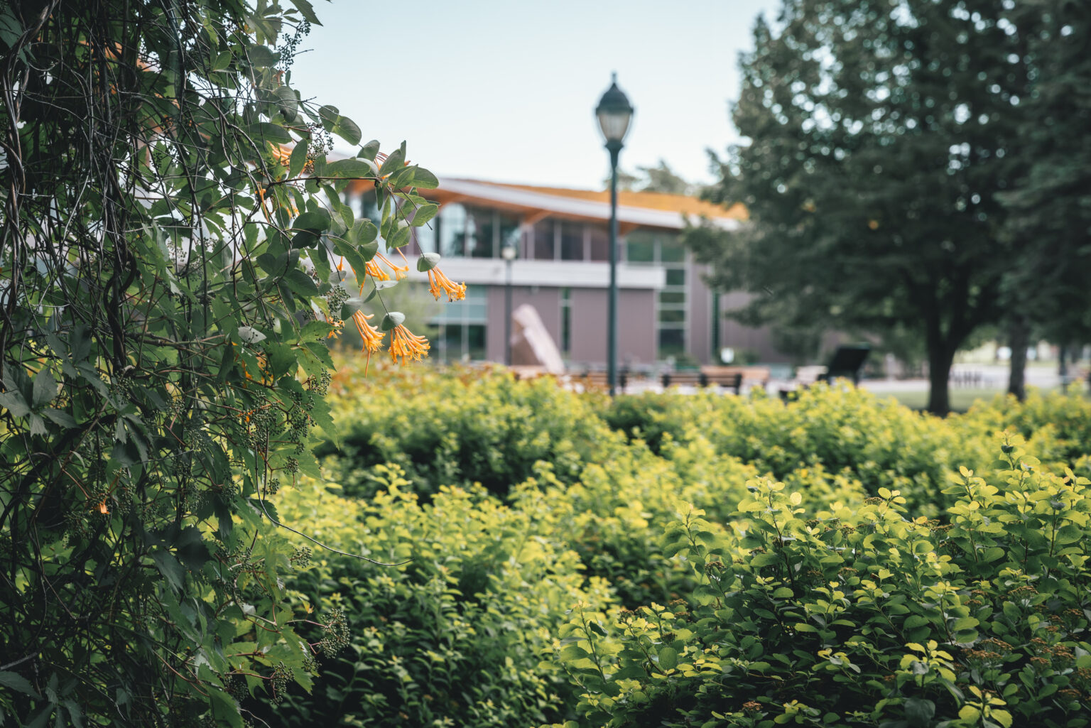 Academics UW Superior