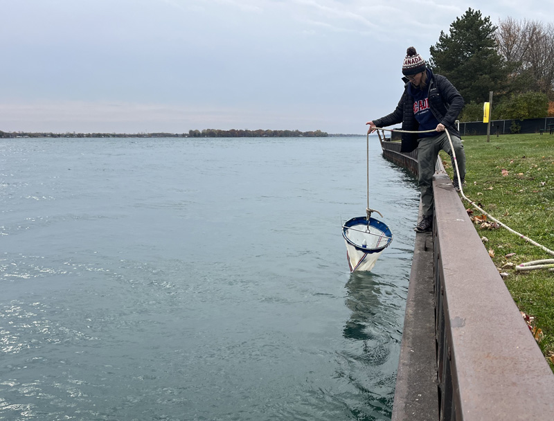 A person stands on a concrete embankment by a large river, lowering a plankton net—a typical scene during Great Waters Research—into the water. The sky is overcast, with trees and grass visible in the background.
