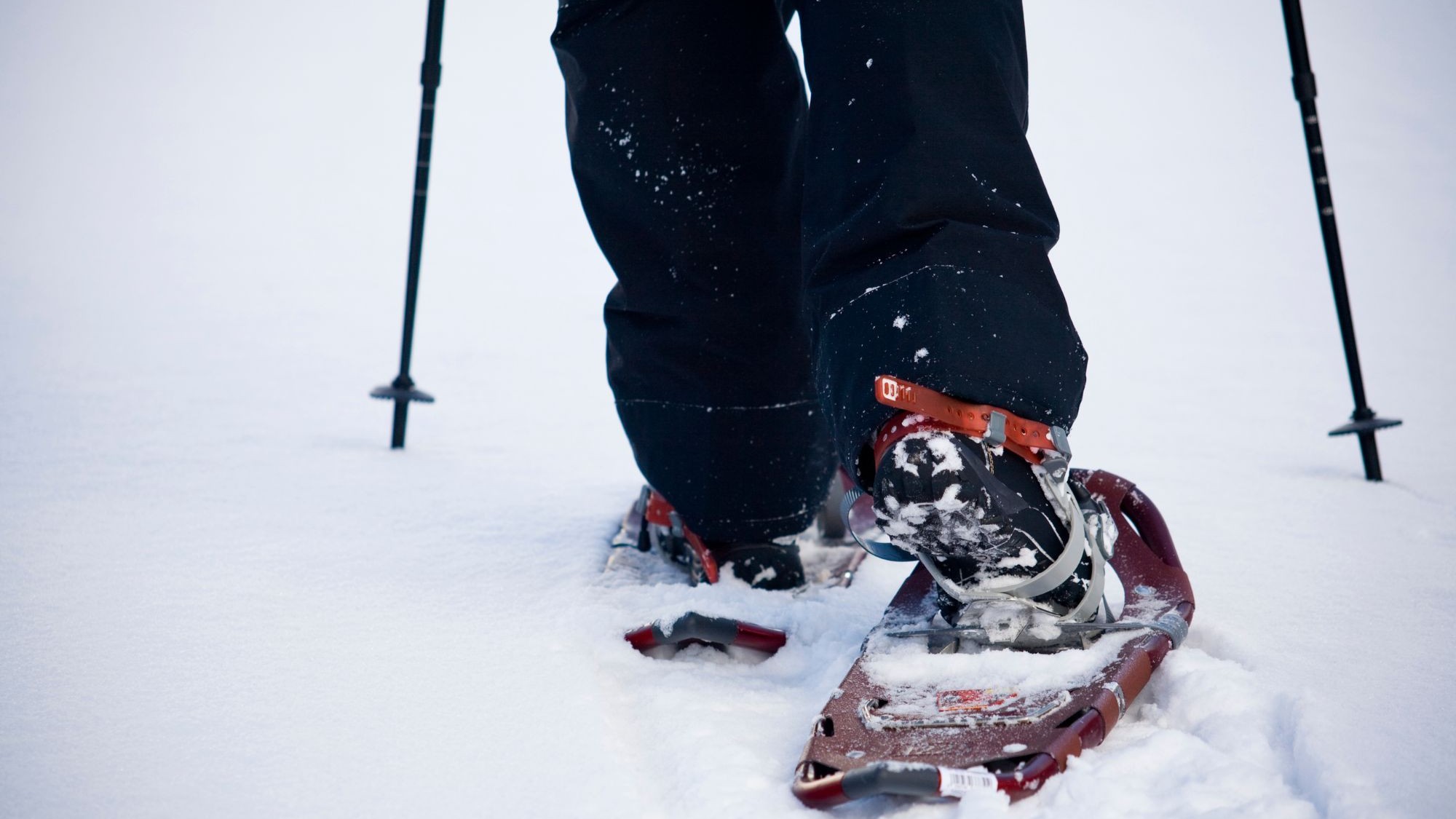 Close-up of a person wearing snowshoes and walking on fresh snow, with snow poles visible on each side. The individual is dressed in black pants and winter boots, creating a wintry outdoor scene.