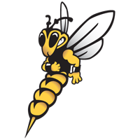 UW-Superior Yellowjackets logo